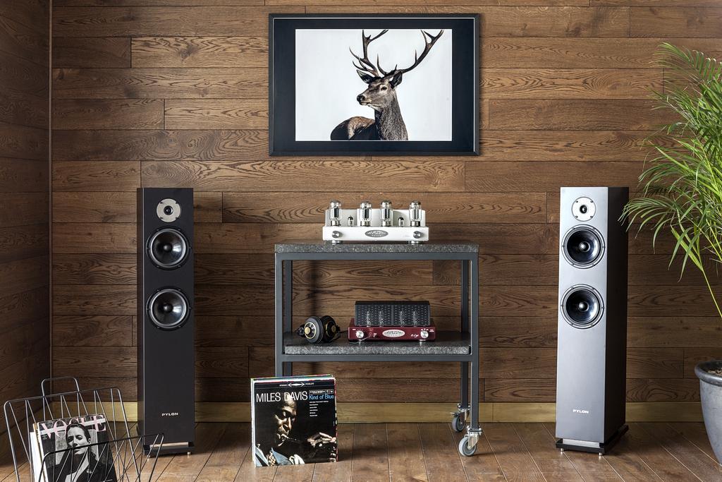 From Transformers to Tube Amplifiers - The Story of Fezz Audio