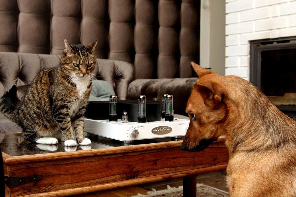 From Transformers to Tube Amplifiers - The Story of Fezz Audio