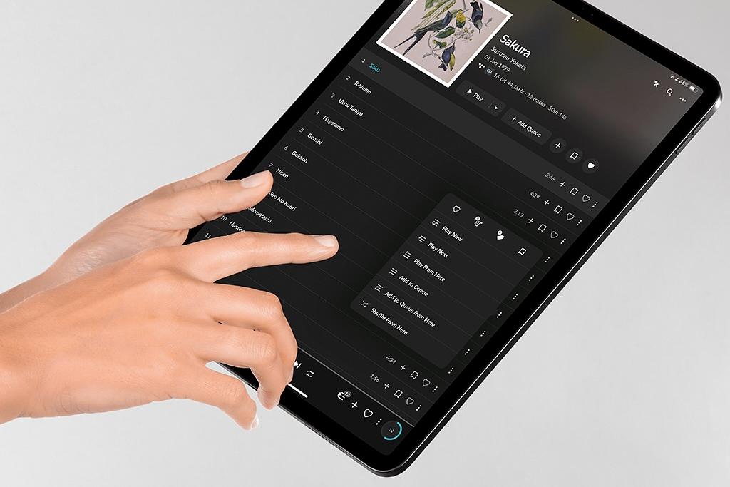 Simplicity, lightness, and a focus on streaming sound quality - JPLAY