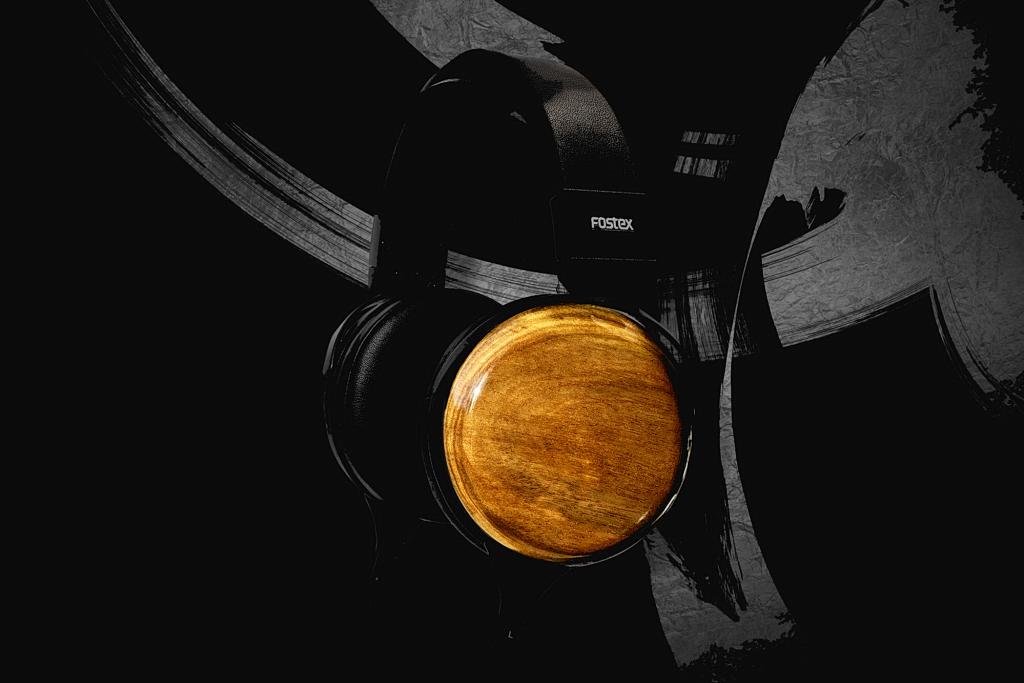 Fostex TH810 & TH818
