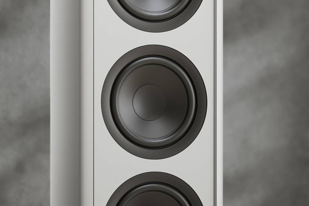 Piega Premium 801