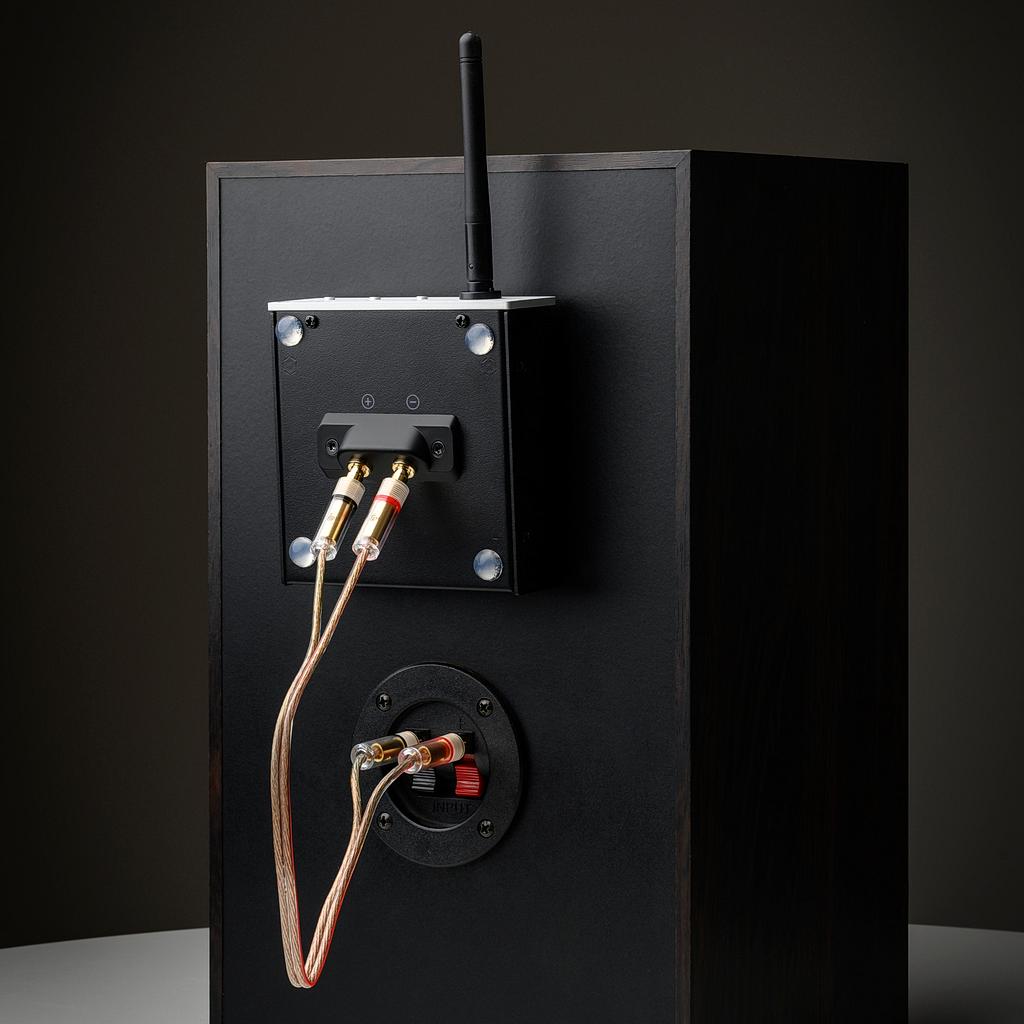 Pro-Ject Wireless Box E