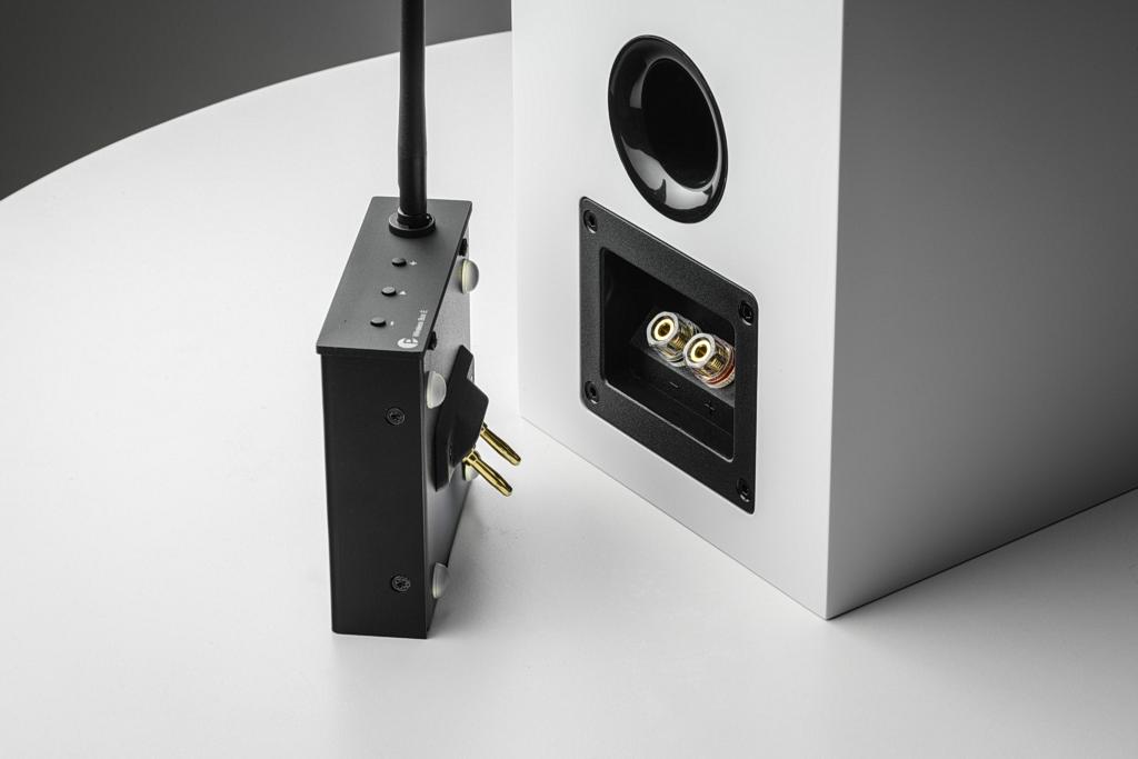 Pro-Ject Wireless Box E