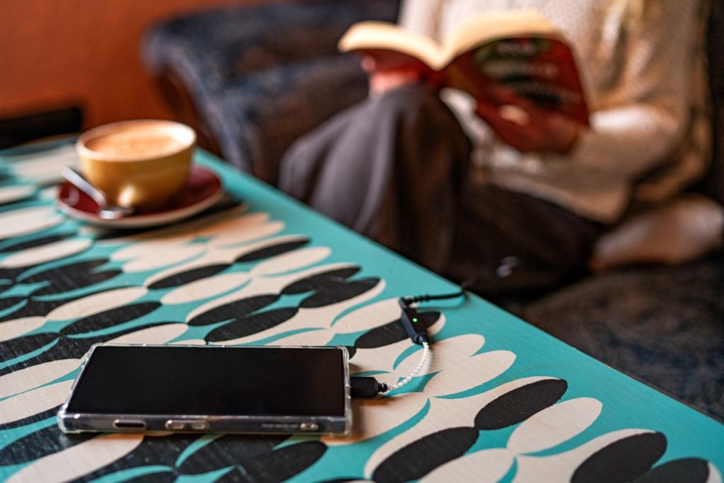 iFi Audio GO link 2