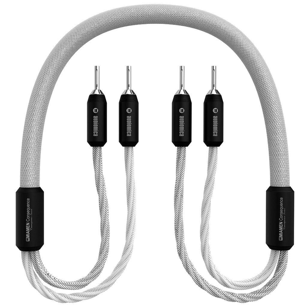 Audiomica Laboratory Consequence