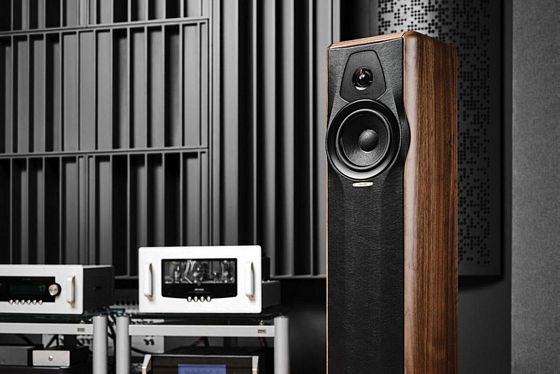 Sonus Faber Maxima Amator